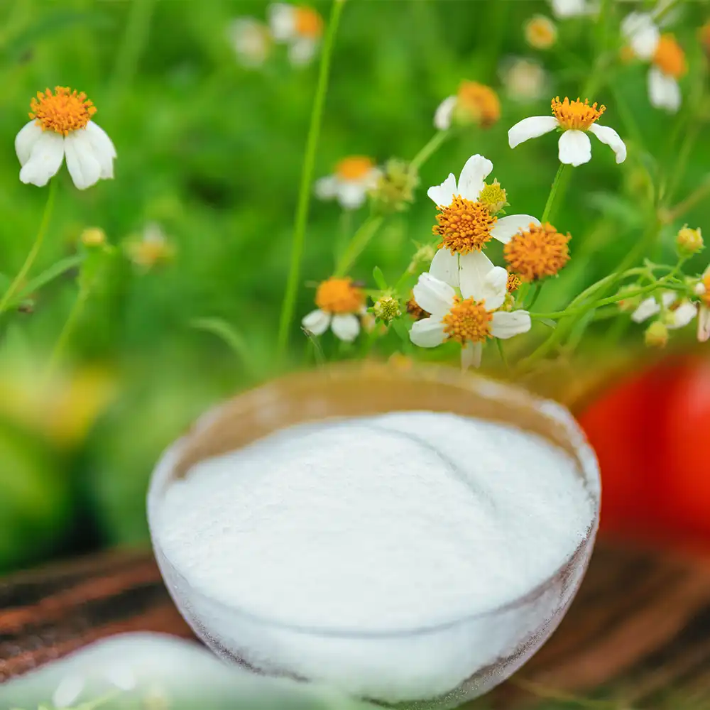 アレギノンプラスの原材料 タチアワユキセンダングサとフラクトオリゴ糖