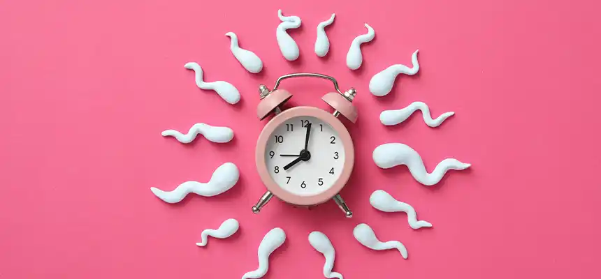 体内時計と腸内環境の関係｜規則正しい生活が腸を整える理由