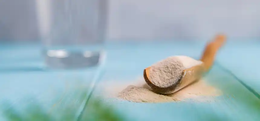 サイリウムハスクと便秘｜食物繊維が腸の動きをサポートする仕組み