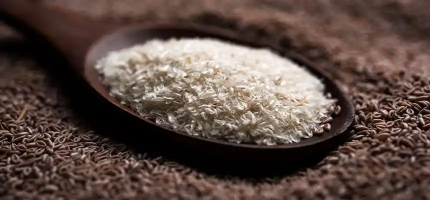 サイリウムハスクとは｜食物繊維の宝庫を基礎からわかりやすく解説